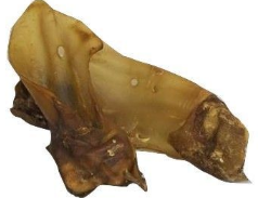 Carnis Buffeloren met schelp 10 stuks