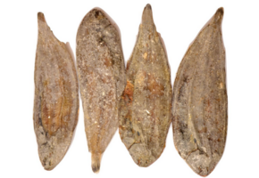 Carnis Platvis 150 g