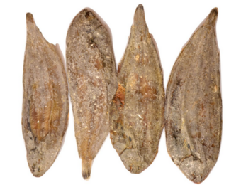 Carnis Platvis 150 g