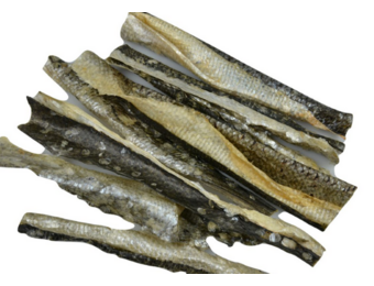 Carnis Zalmhuid repen 150 g