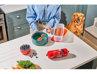 Carnibest vershouddoos diepvries 2,3 L