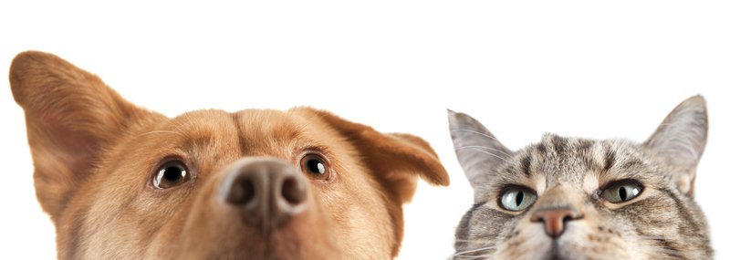 U bent van harte welkom in onze showroom, Nijverheidsweg 1, 3381 LM  Giessenburg