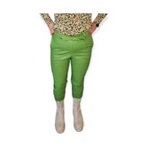 Trouser Leather Green