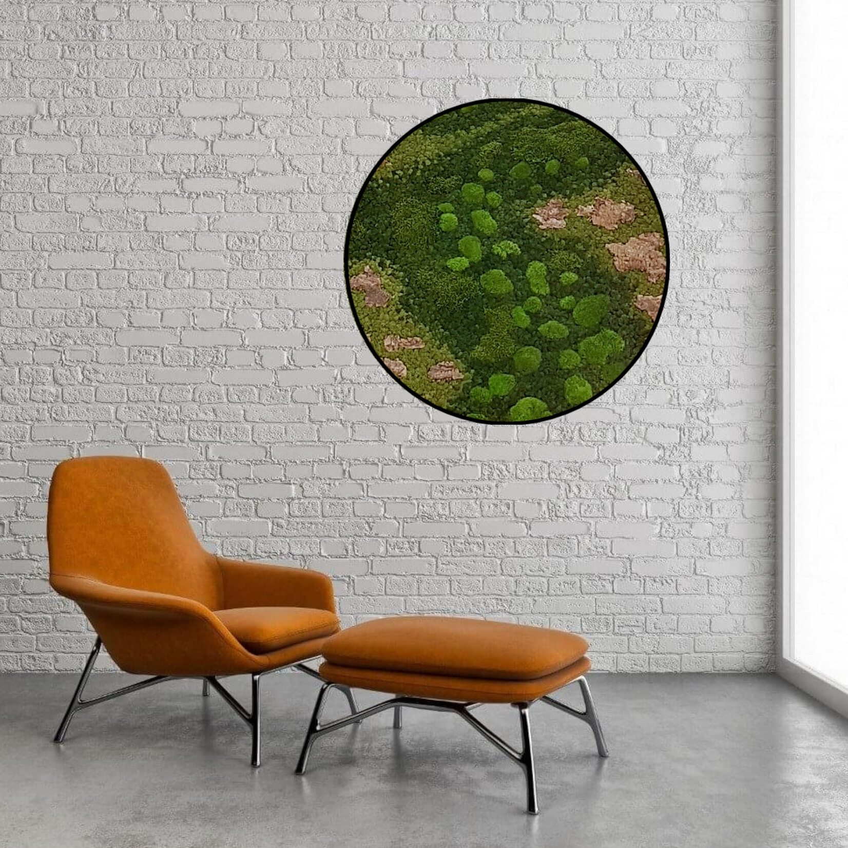 Moss Painting Lost World