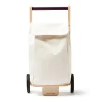 Kid's Concept Shopping Cart