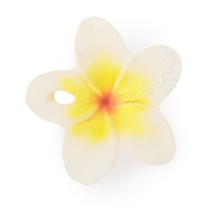 Oli & Carol Oli & Carol Bijtspeeltje Hawaii bloem