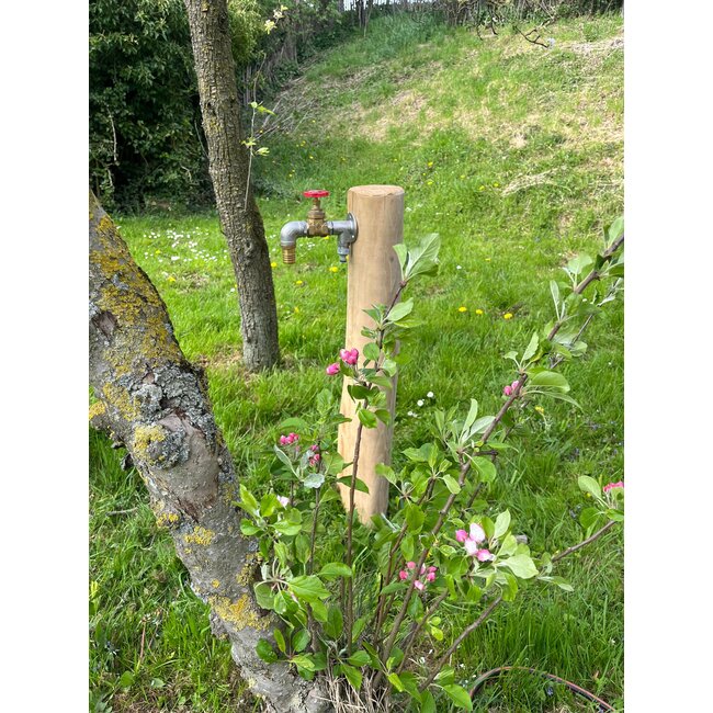 Tapkraan 1 Meter Robinia