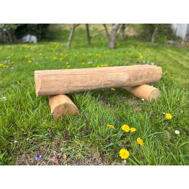 Bank 1 Meter Robinia