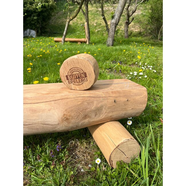 Bank 2 Meter Robinia