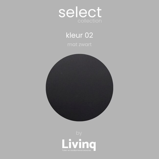 Handdoekhaak Mat zwart