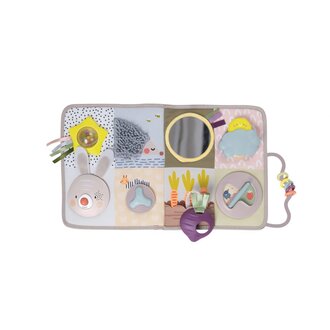 Taf Toys Developmental Activity Center