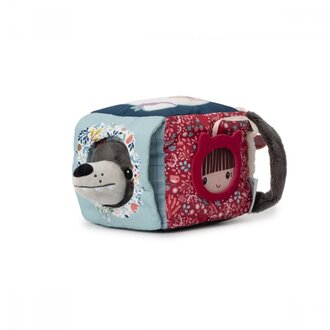 Lilliputiens Behendigheidskubus Louis de wolf