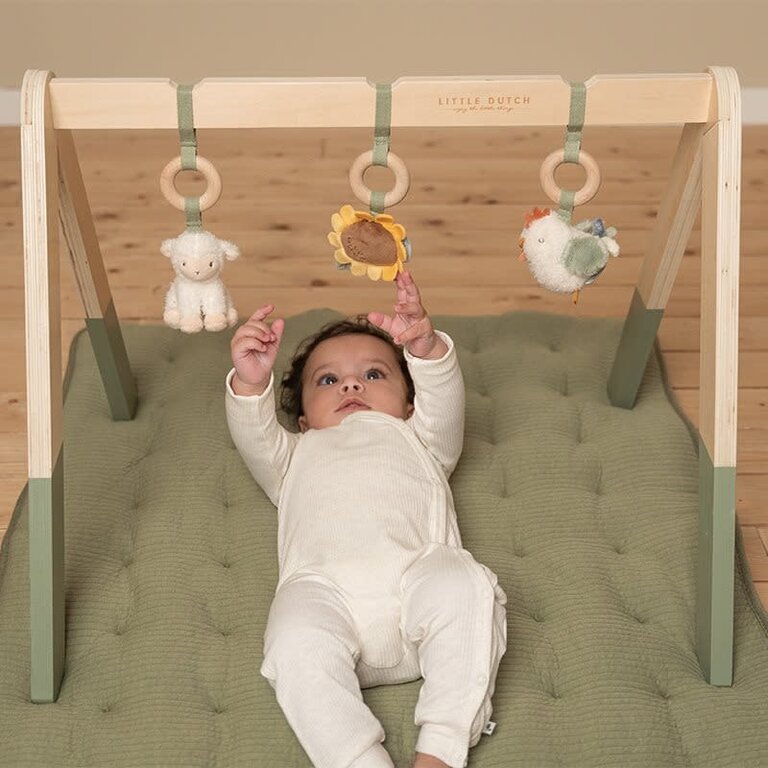 Little Dutch Babygym Little Farm