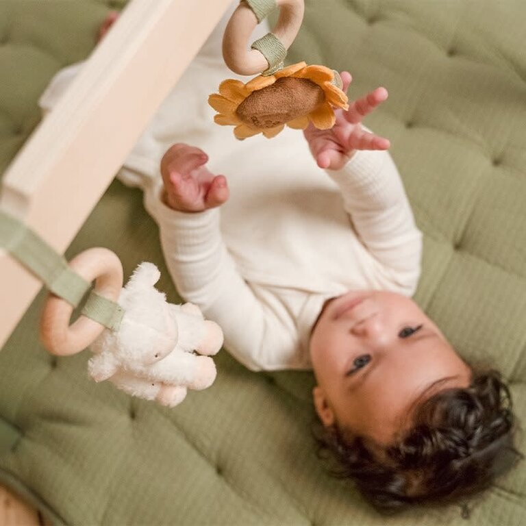 Little Dutch Babygym Little Farm