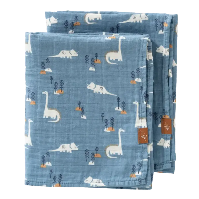 Fresk Swaddle Set 2 pcs. 70x60 cm Dino