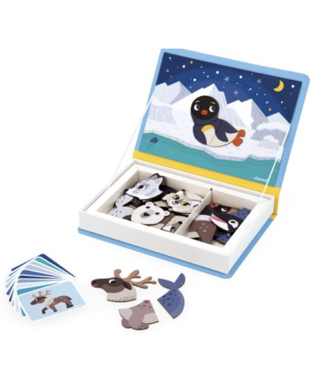 Janod Magneti'Book - Pooldieren