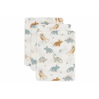 Jollein Hydrofiel Washandje 15x20cm - Roarsome - 3 Stuks