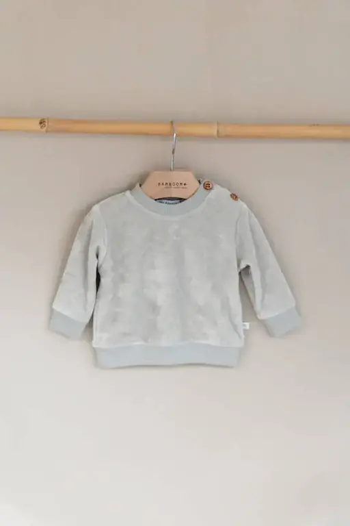 Bamboom Jersey met lange mouwen in Velvet - Ijsgrijs