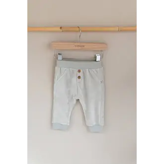 Bamboom Korte broek in Velvet - Ijsgrijs