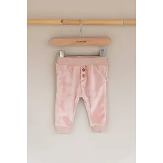 Bamboom Korte broek in Velvet - Powder Pink