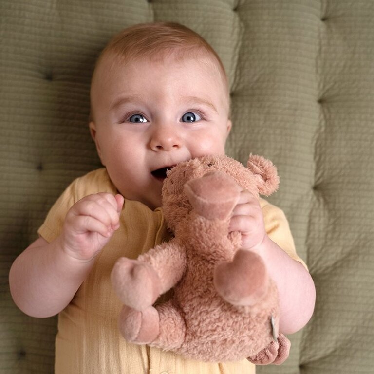 Little Dutch Knuffel Varken 17cm Little Farm