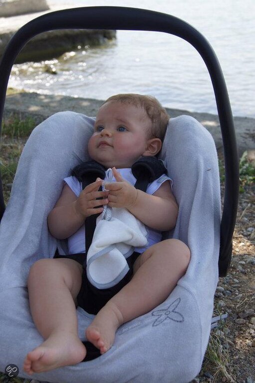 Bamboom Auto Fresh Mini Carseat Cover