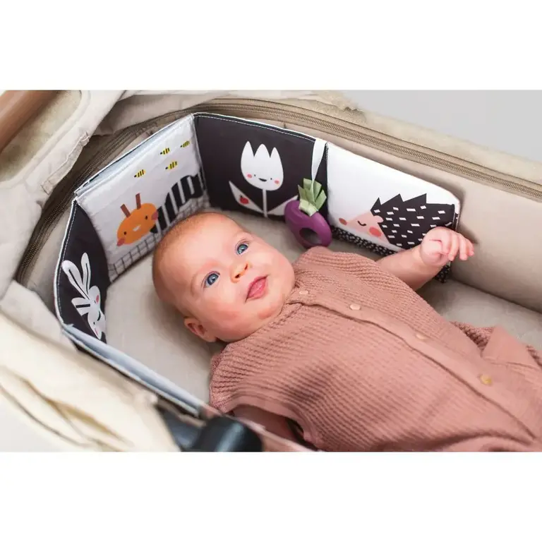 Taf Toys Urban Garden Pram Book