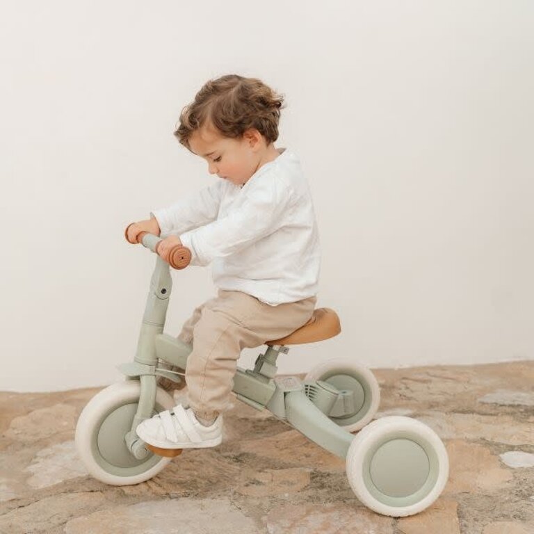 Little Dutch Driewieler Met Duwstang Groen