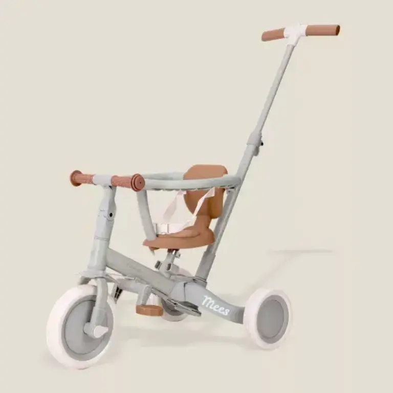 Little Dutch Driewieler Met Duwstang Groen