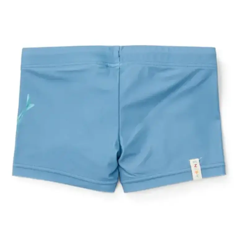 Little Dutch Zwembroek - Blauw - Sea Life