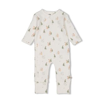 Feetje Pyjama Omslagvoet Pears