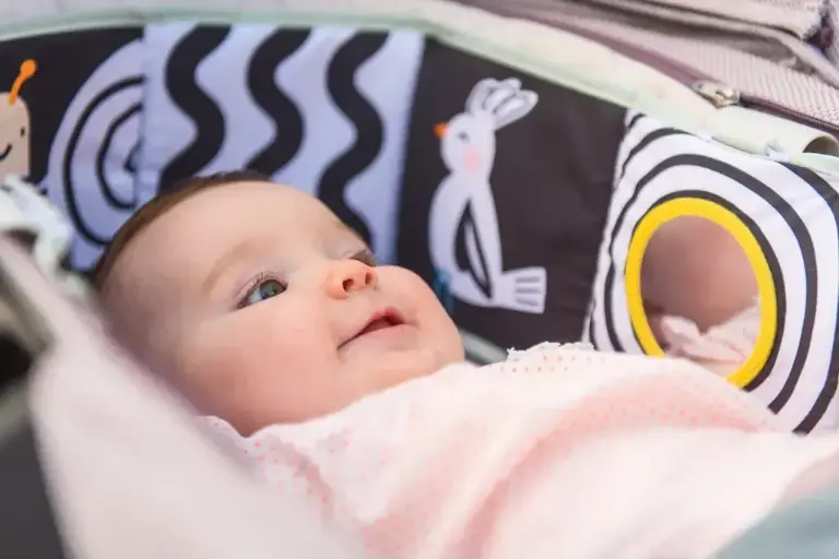 Taf Toys Koala Clip On Pram Book