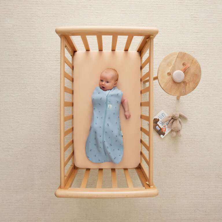 ErgoPouch Cocoon inbaker slaapzak Tog 1.0 Dragonflies- 0-3 Maand