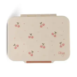 Citron Tritan Lunchbox Cherry