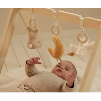 Little Dutch Babygym Newborn Naturals