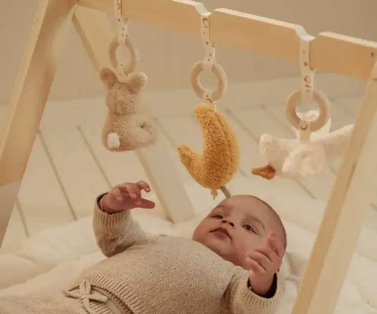 Little Dutch Babygym Newborn Naturals