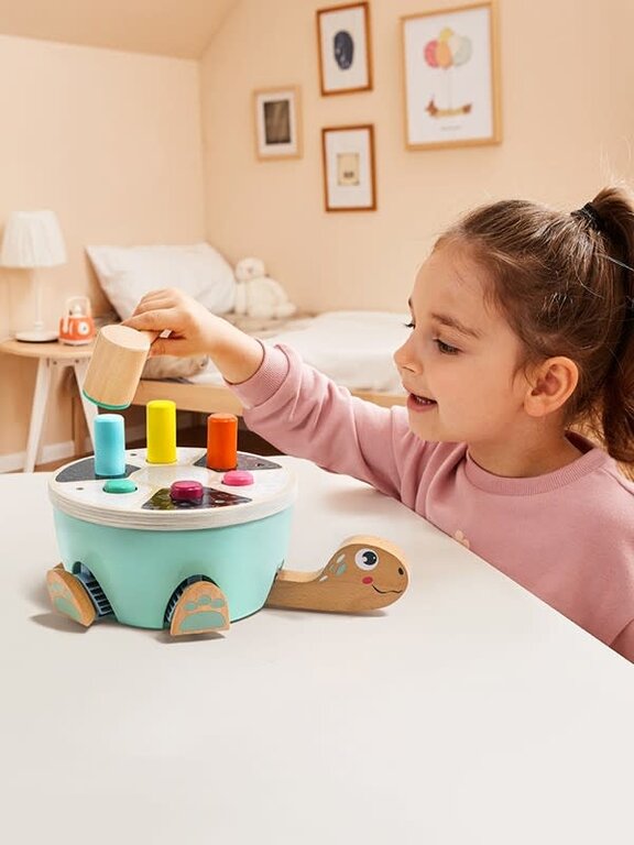 Topbright Hammer Turtle