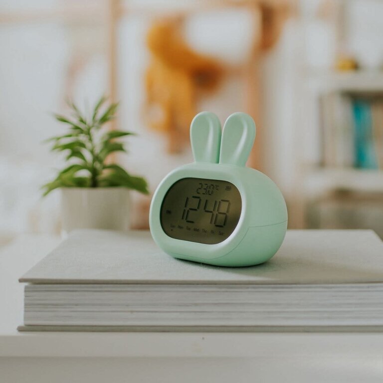 Mary's Alarm Clock - Rabbit Green