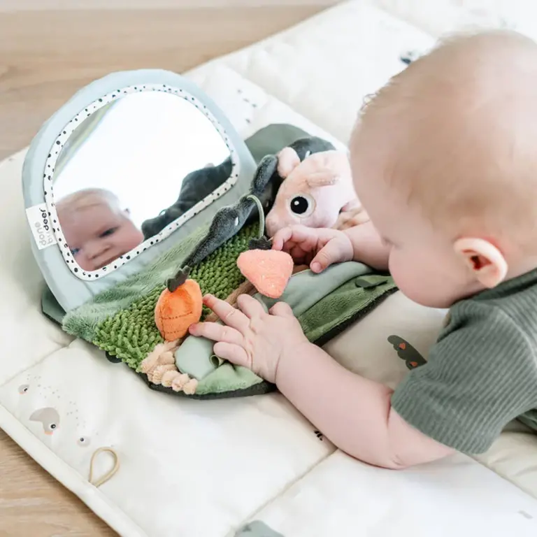 Done by Deer Tummy Time Sensory Mirror - Tiny Farm - Colour Mix