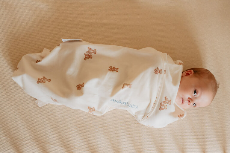 Puckababy The Original - Piep 0/3 M - Cotton -  Teddy Bears