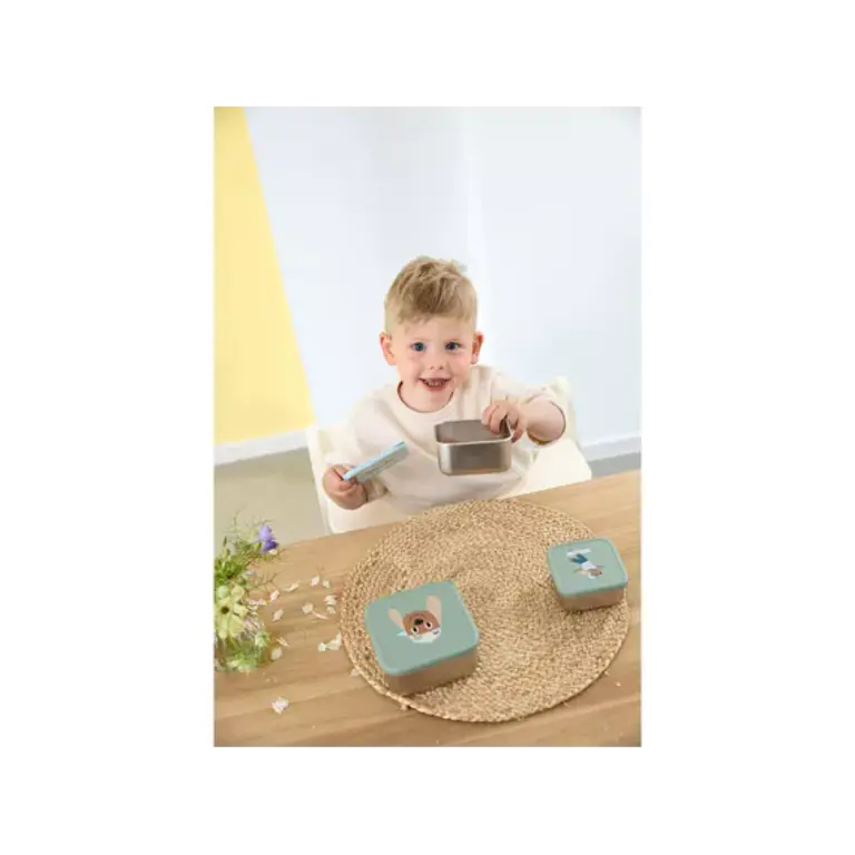 Lässig Set van 3 roestvrijstalen snackboxen - Tiny Team Hond