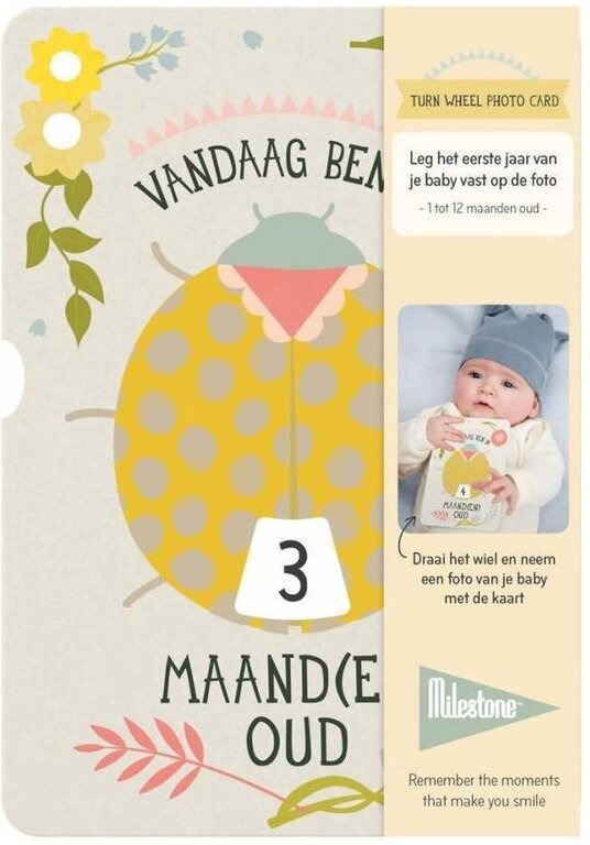Turn Wheel Foto Card - Maanden