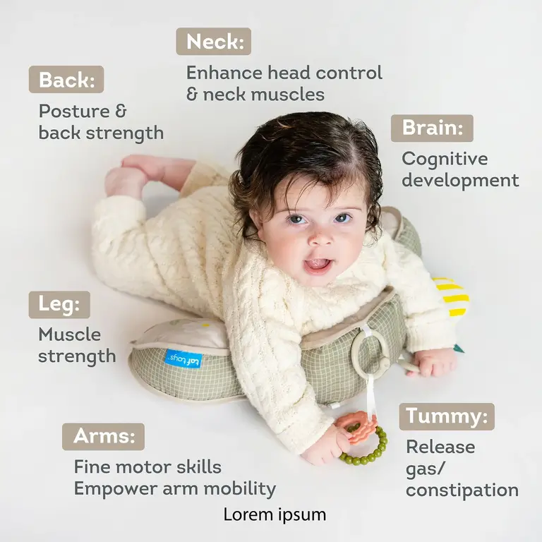 Taf Toys Panda Tummy-Time Pillow