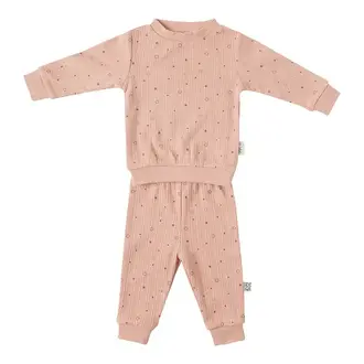 Witlof for Kids Boxpakje Set 2-delig Dusty Pink - Roze
