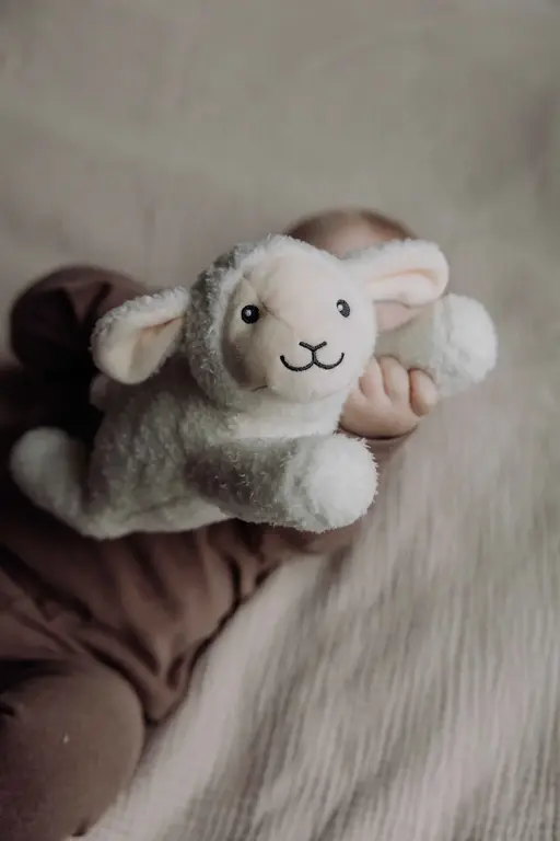 Flow Rosie (Beige) - Oplaadbare hartslagknuffel