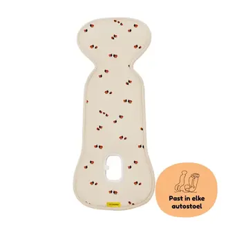 AeroMoov Air Layer - group 0 - Lady Bug