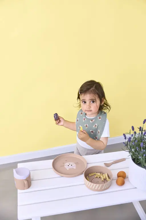 Lässig Kindermaaltijddoos (bord, kom, beker, lepel) - Tiny Team, Cat