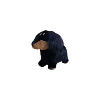 wild and Soft Zacht Springdier Sausage Dog