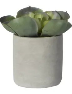 Pomax Concrete jungle  - artificiële plant in pot - cement / kunststof - DIA 11 x H 14 cm