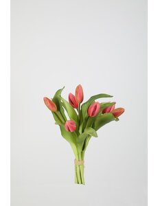 Colours & Green Tulip Bundle x7 32cm roze